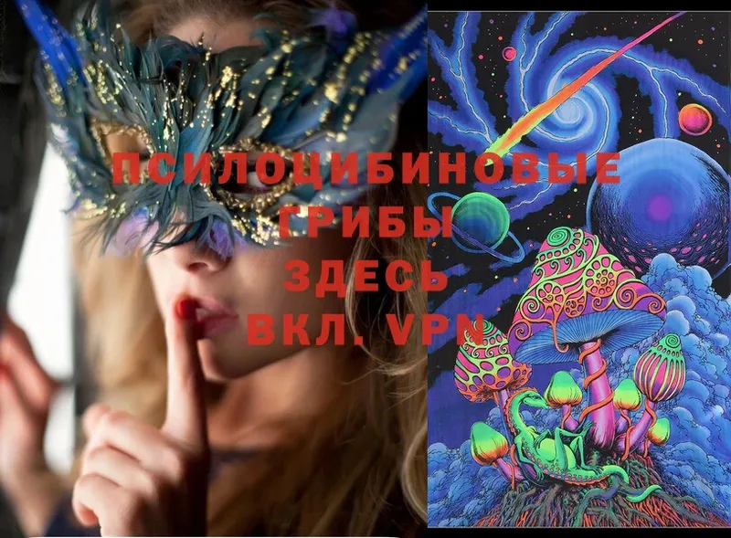 Псилоцибиновые грибы Psilocybe  Череповец 